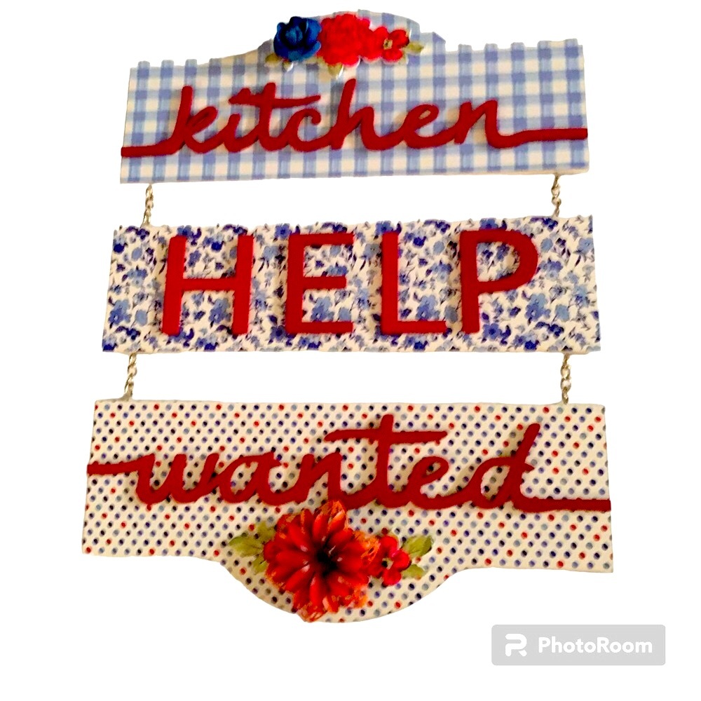 The Pioneer Woman RARE vintage Kitchen Help Wanted Gingham Design and 3D Flowers